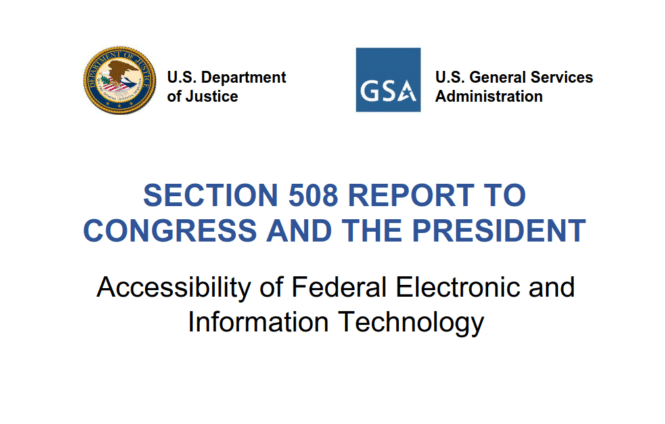 Accessibility Report Sections